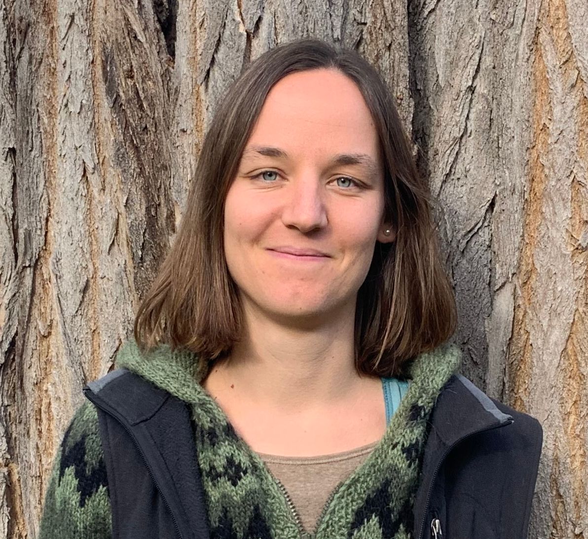 Bild von Susi aus dem Mediationsnetzwerk "Mediation @ Witzenhausen"